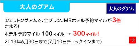 �k��l�̃O�A���l�V�F���g���O�A���ŁA�S�v����JMB�z�e���\��}�C����3�{ ���܂�I�z�e���\��}�C��100�}�C�� �� 300�}�C���I2013�N6��30���܂�(7��10���`�F�b�N�C���܂�)