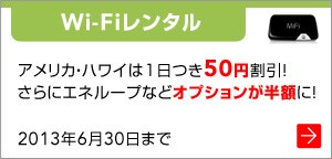 �kWi-Fi�����^���l�A�����J�E�n���C��1����50�~�����I����ɃG�l���[�v�ȂǃI�v�V���������z�ɁI2013�N6��30���܂�