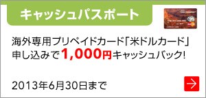 �k�L���b�V���p�X�|�[�g�l�C�O��p�v���y�C�h�J�[�h�u�ăh���J�[�h�v�\�����݂�1,000�~�L���b�V���o�b�N�I2013�N6��30���܂�