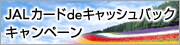 JAL$B%+!<%I(Bde$B%-%c%C%7%e%P%C%/%-%c%s%Z!<%s(B