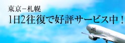 �����|�D�y�@2009�N1��6�����A1��3������