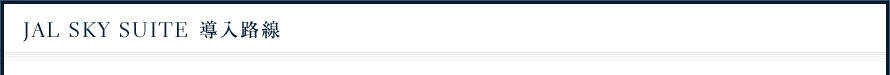 JAL Sky Suite �����H��