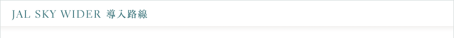 JAL Sky Wider �����H��