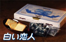 �Ή����فu�������l�v