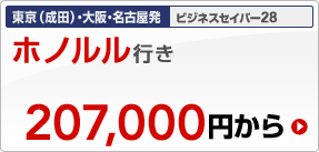 �����i���c�j�E���E���É����@�r�W�l�X�Z�C�o�[28�@�z�m�����s���@207,000�~����