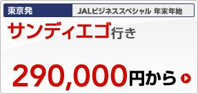 �������@JAL�r�W�l�X�X�y�V���� �N���N�n�@�T���f�B�G�S�s���@290,000�~����