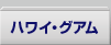 �n���C�E�O�A��