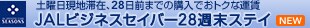 �y�j�����n�؍݁A28���O�̍w���ōő��69������ �r�W�l�X�Z�C�o�[28�T���X�e�C