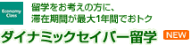 ���w�����l���̕��ɁA�؍݊��Ԃ��ő�1�N�Ԃł��g�N �_�C�i�~�b�N�Z�C�o�[���w