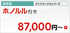 �������@�_�C�i�~�b�N�Z�C�o�[5�@�z�m�����s���@87,000�~�`