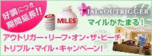 �D�]�ɂ����ԉ����I�}�C�������܂�I�A�E�g���K�[�E���[�t�E�I���E�U�E�r�[�` �g���v���E�}�C���E�L�����y�[���I