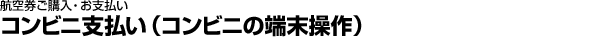 �q�󌔂��w���E���x�����@�R���r�j�x�����i�R���r�j�̒[������j