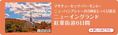 �}�T�`���[�Z�b�c�E�o�[�����g�E�j���[�n���v�V���[��3�B���������菄�� �j���[�C���O�����h�g�t�X��6����