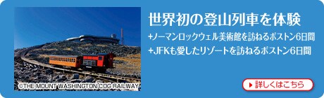 ���E���̓o�R��Ԃ�̌�
+�m�[�}�����b�N�E�F�����p�ق�K�˂�{�X�g��6����
+JFK�����������]�[�g��K�˂�{�X�g��6����