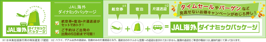 JAL�C�O�_�C�i�~�b�N�p�b�P�[�W