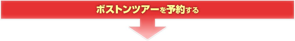 �X�g���c�A�[��\�񂷂�