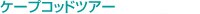 �P�[�v�R�b�h�c�A�[