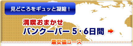 ���ǂ�����M���b�ƋÏk�I ���i���܂��� �o���N�[�o�[5�E6����