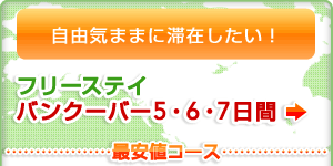 ���R�C�܂܂ɑ؍݂������I�t���[�X�e�C �o���N�[�o�[5�E6�E7����