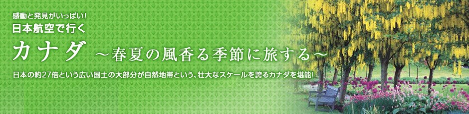 �����Ɣ����������ς��I�@���{�q��ōs���J�i�_�@�`�t�Ă̕�����G�߂ɗ�����`