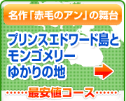 ����u�Ԗт̃A���v�̕��� �v�����X�G�h���[�h���ƃ����S�����[�䂩��̒n