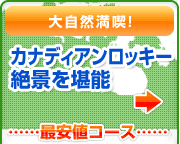 �厩�R���i�I �J�i�f�B�A�����b�L�[ ��i�����\