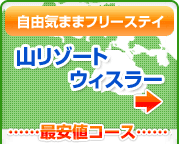 ���R�C�܂܃t���[�X�e�C �R���]�[�g �E�B�X���[