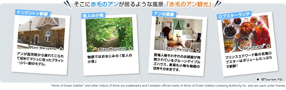 �����ɐԖт̃A��������悤�ȕ��i�@�u�Ԗт̃A���ό��v