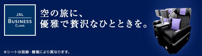 JAL BUSINESS CLASS�@��̗��ɁA�D����ґ�ȂЂƂƂ����B ���V�[�g�͘H���E�@��ɂ��قȂ�܂��B