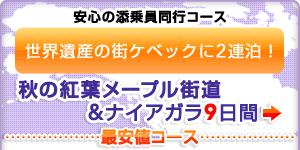 ���S�̓Y������s�R�[�X�@���E��Y�̊X�P�x�b�N��2�A���I�@�H�̍g�t���[�v���X�����i�C�A�K��9����