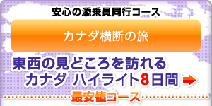 ���S�̓Y������s�R�[�X�J�i�_���f�̗������̌��ǂ����K���J�i�_�@�n�C���C�g8����