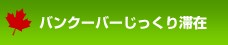 �o���N�[�o�[��������؍�