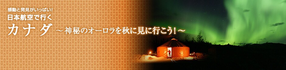 �J�i�_�@�z���C�g�z�[�X
���R�̐_��I�[�������H�Ɍ��ɍs�����I