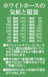 �z���C�g�z�[�X�̋C��ƕ���