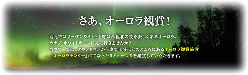 �����A�I�[�����Ϗ�!
�n���ł̓m�[�U�����C�g�Ƃ��Ă΂�ɖk�̖��������ʂ�I�[�����B
�J�i�_�@�z���C�g�z�[�X�Ɍ��ɍs���܂��񂩁H
���c�A�[�ł́A�_�E���^�E������Ԃ�15���قǂ̂Ƃ���ɂ���I�[�����Ϗ܎{��
�u�I�[�����Z���^�[�v�ɂĂ������ƃI�[�������Ϗ܂��Ă��������܂��B