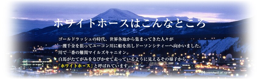 �z���C�g�z�[�X�͂���ȂƂ���