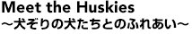 Meet the Huskies
�`������̌������Ƃ̂ӂꂠ���`�@