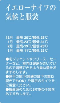 �C�G���[�i�C�t�̋C��ƕ���