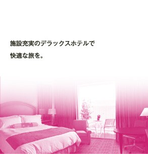 �{�ݏ[���̃f���b�N�X�z�e���ŉ��K�ȗ����B