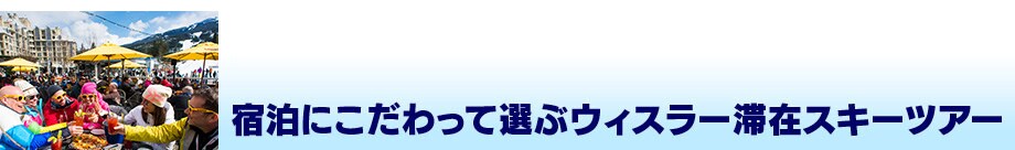 �h���ɂ�������đI�ԃE�B�X���[�؍݃X�L�[�c�A�[