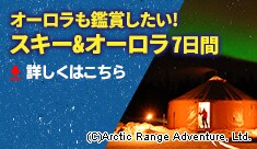 �X�L�[�K�C�h���s�I�T���s�[�N�X���i6�E9����