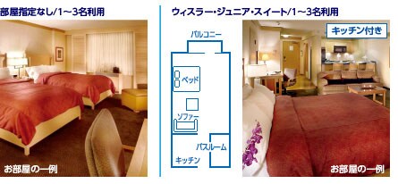 �q���g���E�E�B�X���[�E���]�[�g���X�p