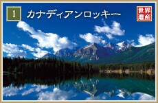 1 �J�i�f�B�A�����b�L�[�@���E��Y