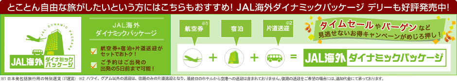 �Ƃ��Ƃ񎩗R�ȗ����������Ƃ������ɂ͂�������������߁I JAL�C�O�_�C�i�~�b�N�p�b�P�[�W �f���[���D�]�������I