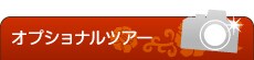 �I�v�V���i���c�A�[