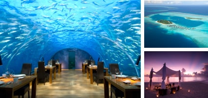 �R�����b�h�E�����f�B�u�E�����K���@�A�C�����h