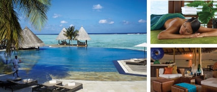 �t�H�[�V�Y���Y�E���]�[�g�E�����f�B�u�E�A�b�g�E�N�_�t��