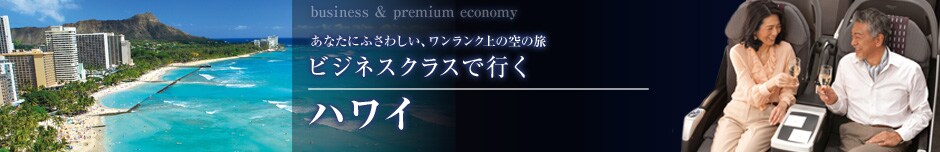 ���Ȃ��ɂӂ��킵���A���������N��̋�̗�
�r�W�l�X�N���X�ōs��
�n���C