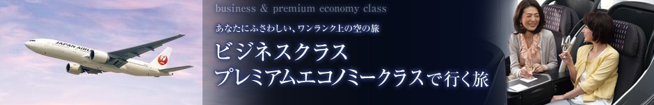 ���Ȃ��ɂӂ��킵���A���������N��̋�̗� �r�W�l�X�N���X�E�v���~�A���G�R�m�~�[�ōs����