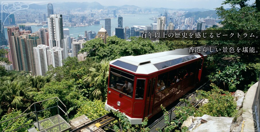 �S�N�ȏ�̗��j��������s�[�N�g�����B���`�炵���i�F�����\�B